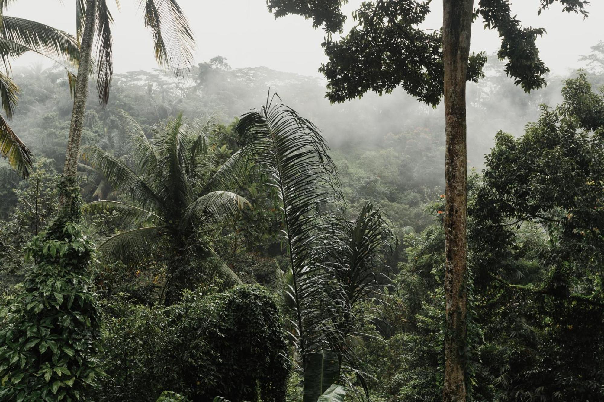 The Iyang Ubud Eksteriør bilde